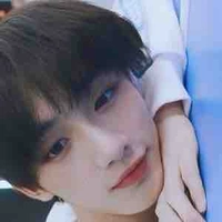 Đinh trình hâm 