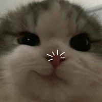 t/g xàm xí●^●