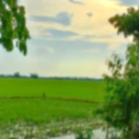 Quỷ cấp thấp