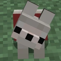 Creator | Qing