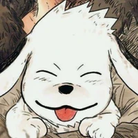 Akamaru / bạn đồng hành của Kiba
