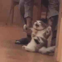 All