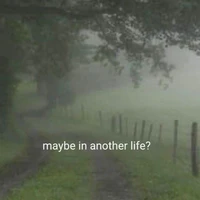 ? ? ?
