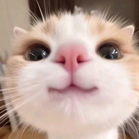 Tác giả
