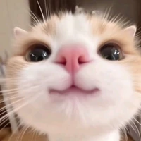 Tác giả