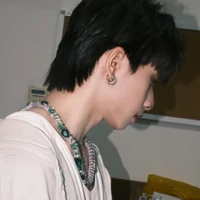 Bạch Hồng Cường_00