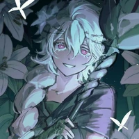 white lily