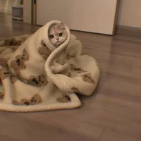 đã khờ lại còn khùng