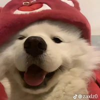 Tác giả