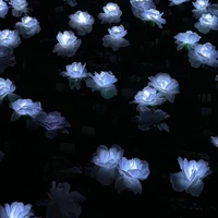 bí ẩn