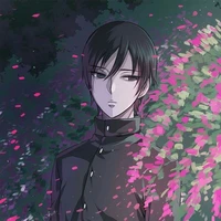 Sai