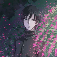 Sai