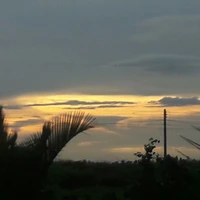 hệ thống