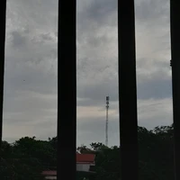 Theo lời bộc bạch.