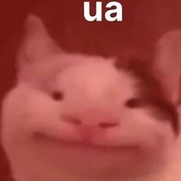 nhỏ bn tác giả 👁️👄👁️