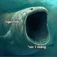ALL:trừ ai thì trừ 