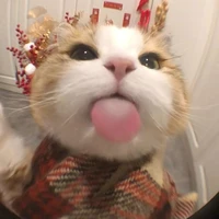 Nhỏ tác giả nè