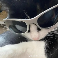 Tác giả lắm lời