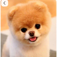 tủn 