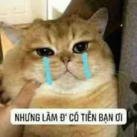hệ thống đin khùng 