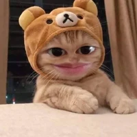 T/g