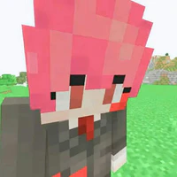 h1h4 ( NPC )
