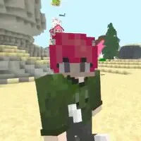 hiha para ( NPC )