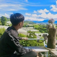 Phạm Đình Hoà