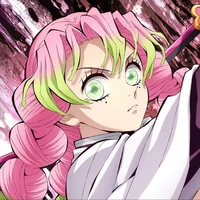 Kanroji Mitsuri (Love of Hashira)