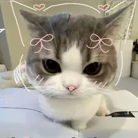 chou 💐🎀 (tác giả)