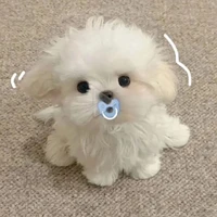 allbot