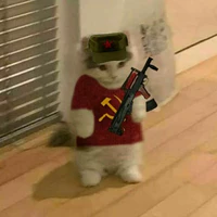 T/g