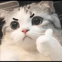 ng qua đường