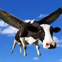 all