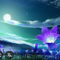 Diệu Vi