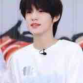 Trương Trạch vũ