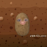 tác giả khoai tây