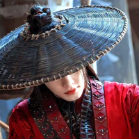 Diệp Đỉnh Chi