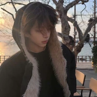 Thiên Tử Đình Hoàng