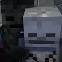 cả 2 (Wither x skelly)