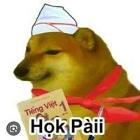 ( sun )