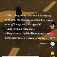 alltop -ai thì-