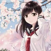 Nguyễn Trần Vân Anh