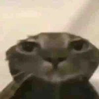 Tất cả (trừ ai thì trừ☺️)