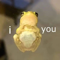 T/G
