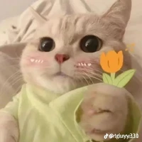 tác giả nèk