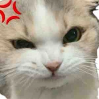 g/t cute nhất vũ trụ thế giới