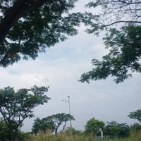 All (trừ ai thì trừ)