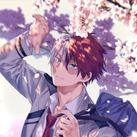 Shoto Todoroki