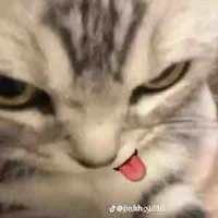 Bà oh